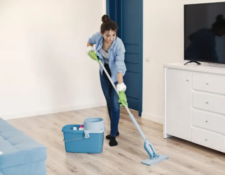 Femme de ménage Villiers-Adam